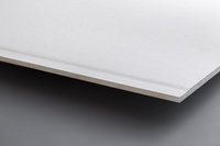Immagine della lastra WhiteAir BA13