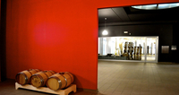 CANTINA VINICOLA