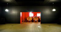 CANTINA VINICOLA