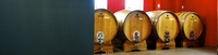 CANTINA VINICOLA
